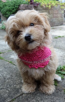 Picot Dog Scarf and Bow Set