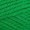 Paintbox Yarns Simply Super Chunky 10 Ball Value Pack - Grass Green (1129)