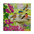 Crystal Art Birds, 18x18cm Card Diamond Painting Kit