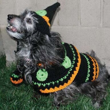Dog's Crochet Witch Costume in Red Heart Super Saver Economy Solids - WR1093