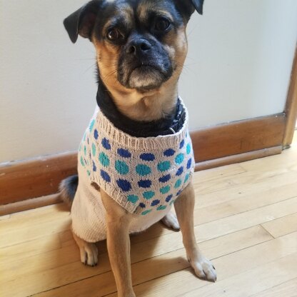 Dottie Dog Vest