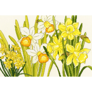 Bothy Threads  Daffodil Blooms Cross Stitch Kit