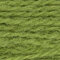 Appletons 2-ply Crewel Wool - 25m - Grass Green (254)