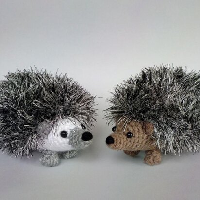 Hedgehog combo pack