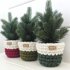 Chunky Planter Sweaters 053