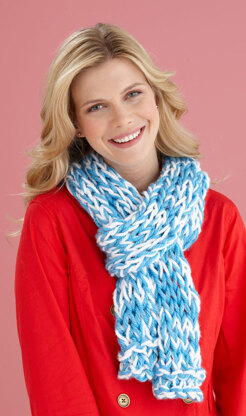 Team Colors Scarf in Lion Brand Hometown USA - L20094