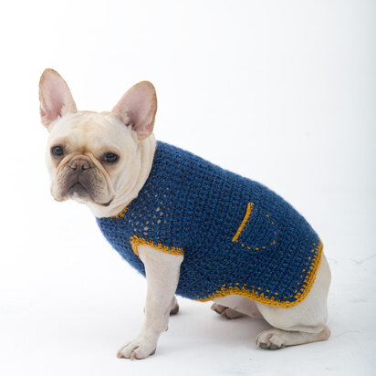 Casual Friday Dog Sweater in Lion Brand Heartland - L32352