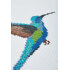 Hummingbird in DMC - PAT0390 - Downloadable PDF