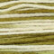 Weeks Dye Works 6-Strand Floss - Caramel (1216)
