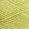 Premier Yarns Anti-Pilling Everyday DK - Chartreuse (67)