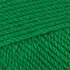 Stylecraft Special Aran - Green (1116)