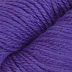 Purple Larkspur (22274)