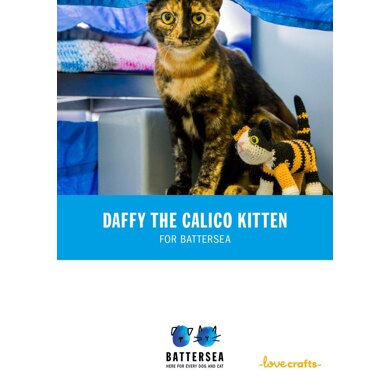 Daffy the Cat for Battersea