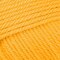 Valley Yarns Haydenville Bulky 10 Ball Value Pack - Gold (27)
